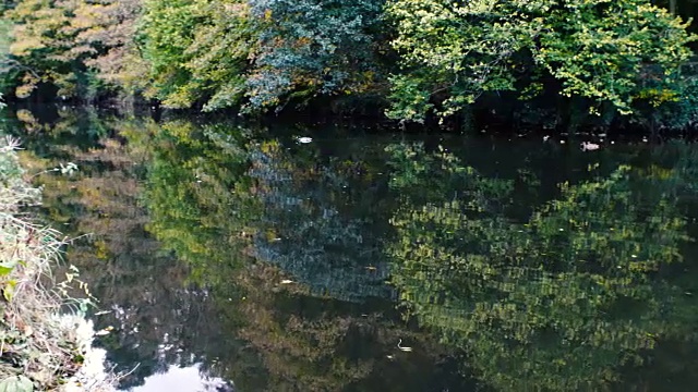 秋河,北爱尔兰