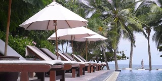 热带度假村游泳池附近的沙滩椅