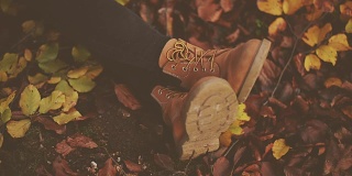 干树叶上的鞋子