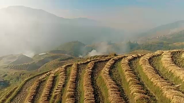 水稻梯田从空中飞起