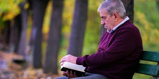 老人在公园里看书