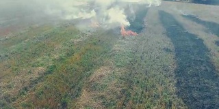 飞过燃烧的干燥田野