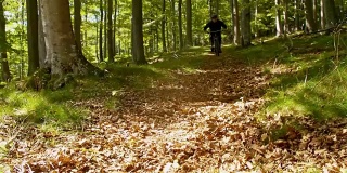 SLO MO山下摩托车飞驰穿过森林