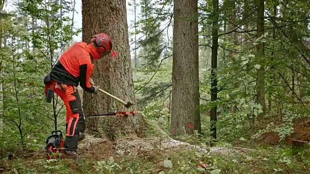 SLO MO伐木工用楔子砍树