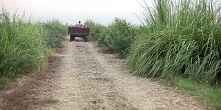 农民在乡村公路上开着拖拉机
