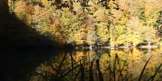 秋天湖面上树木的美丽倒影