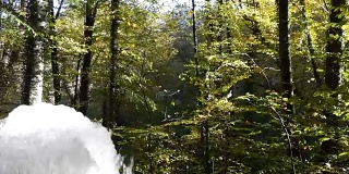 春天的水来自秋天的森林