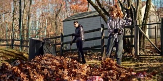 秋天对后院的清理。两姐妹，十几岁的女孩，在一起耙落叶准备搬走。