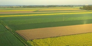 空中耕种的农田和周围的乡村