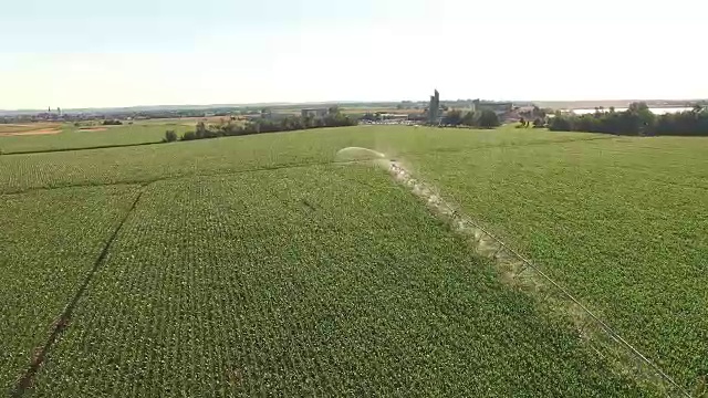 空中农业洒水器给玉米地浇水