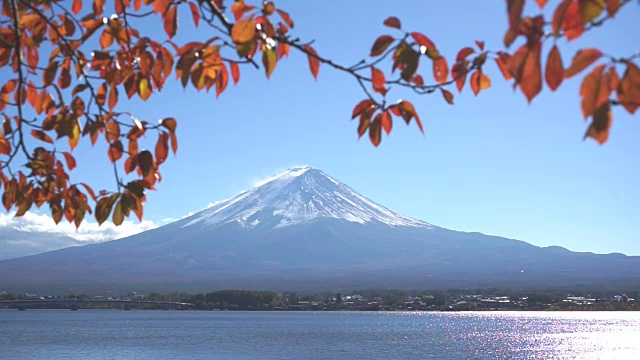 秋日里川口湖上的富士红叶