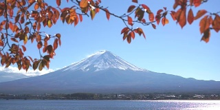 秋日里川口湖上的富士红叶