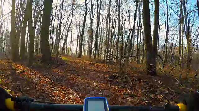 POV在森林里骑车上山。
