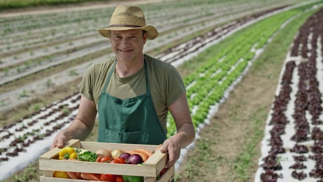 一位男性农民抱着满满一箱蔬菜的肖像