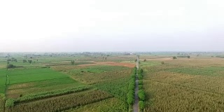 农业用地360度视野