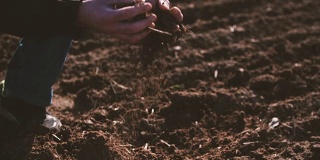 农民双手捧着，倒灌有机土壤。土壤、农业、阳光。