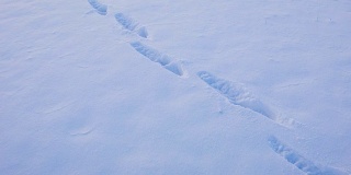 雪上的人类痕迹