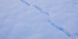雪上的人类痕迹