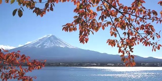秋日里川口湖上的富士红叶