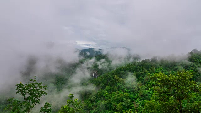 热带雨林季风雨季。间隔拍摄视频
