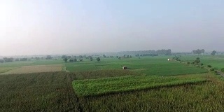 农业用地360度视野