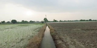 用于灌溉的水渠