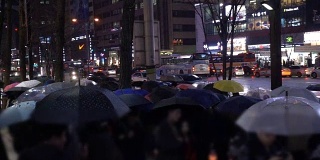 韩国首尔，雨夜行人过马路。慢动作