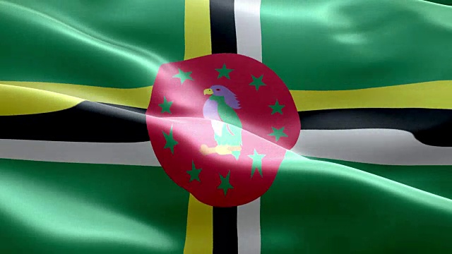 多米尼加国旗波浪图案可循环元素