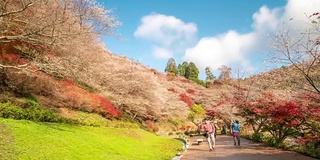 延时:小原樱与秋红叶离开日本丰田名古屋