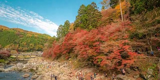 时光流逝:日本名古屋红叶秋园