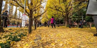 时光流逝:日本东京青山明治神宫花园拥挤的行人