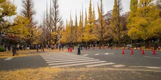 时光流逝:日本东京青山明治神宫花园拥挤的行人