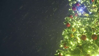 圣诞背景-圣诞树和夜雪视频素材模板下载