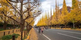 时光流逝:日本东京青山明治神宫花园拥挤的行人