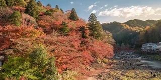 时光流逝:日本名古屋红叶秋园