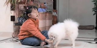 女孩和她的白色小狗