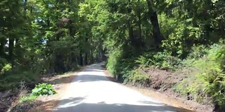 在乡村道路上开车