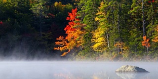 新罕布什尔州小池塘上的秋雾