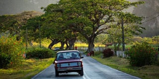 古巴:旅行:老爷车在田园诗乡村道路，维纳尔斯谷
