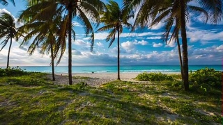古巴:旅行:斯坦尼康拍摄的热带海滩与棕榈树在巴拉德罗视频素材模板下载