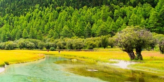 在盐定山自然保护区，西藏人称这片土地为中国尼登