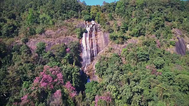 鸟瞰图上的瀑布在山顶粉红色的花樱花或樱(樱花泰国)在泰国北部。