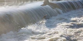 萨克森州Zschopau河上的堰，高水位