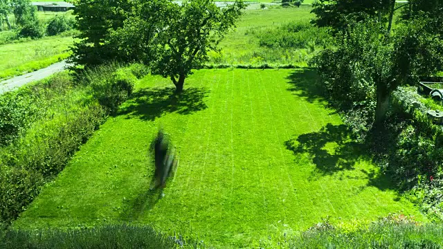 修剪草坪