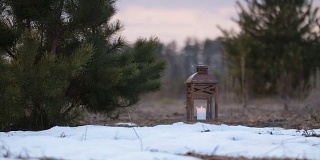 一盏插着蜡烛的木灯，矗立在长满小松树的田野里。
