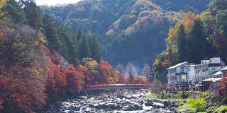 日本爱知县，红桥上人头攒动，彩绘秋叶。