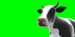 牛咀嚼绿色屏风(可循环)