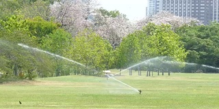 洒水喷头喷水