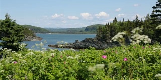 加拿大魁北克比克国家公园的自然景观