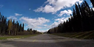 汽车驾驶POV在风景优美的加拿大道路上
